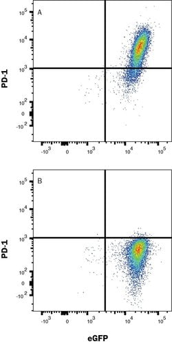 Human PD-1 Antibody, R D Systems:Antibodies:Primary Antibodies