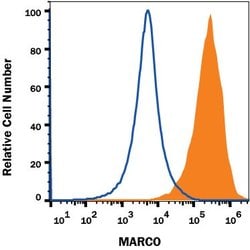 Mouse MARCO Antibody, R D Systems:Antibodies:Primary Antibodies