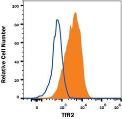 Human TfR2 Antibody, R D Systems:Antibodies:Primary Antibodies