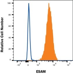 Human ESAM Antibody, R D Systems:Antibodies:Primary Antibodies