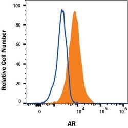 Human Androgen R/NR3C4 Antibody, R D Systems 100 &mu;g; Unconjugated:Anticuerpos