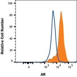 Human Androgen R/NR3C4 Antibody, R D Systems:Antibodies:Primary Antibodies