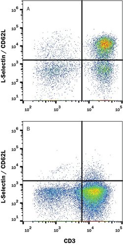 Human L-Selectin/CD62L Antibody, R D Systems 25 &mu;g; Unconjugated:Antibodies,