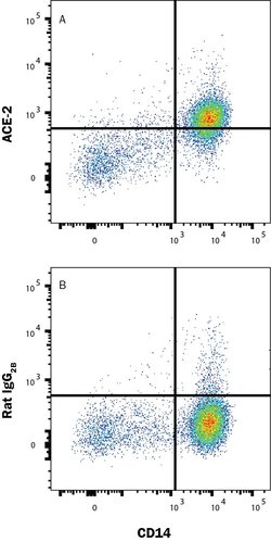 Human ACE-2 Antibody, R D Systems 100 &mu;g; Unconjugated:Antibodies, Monoclonal