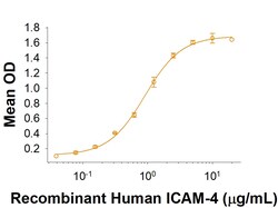 R D Systems Recombinant Human ICAM-4 Fc Chimera Protein 50 &mu;g | Buy Online | R&amp;D Systems&trade; | Fisher Scientific