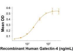 R D Systems Recombinant Human CEACAM-5/CD66e Fc Chimera Protein 50 &mu;g | Buy Online | R&amp;D Systems&trade; | Fisher Scientific