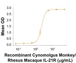 R D Systems Recombinant Cynomolgus/Rhesus IL-21R Fc Chimera Protein 100 &mu;g | Buy Online | R&amp;D Systems&trade; | Fisher Scientific