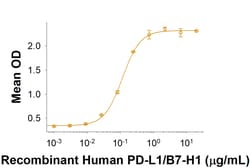 R D Systems Recombinant Porcine PD-1 Fc Chimera Protein 50 &mu;g | Buy Online | R&amp;D Systems&trade; | Fisher Scientific