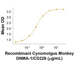 R D Systems Recombinant Cynomolgus Monkey Nectin-2/CD112 Fc Protein 100 &mu;g | Buy Online | R&amp;D Systems&trade; | Fisher Scientific