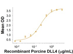 R D Systems Recombinant Porcine DLL4 Fc Chimera Protein 50 &mu;g | Buy Online | R&amp;D Systems&trade; | Fisher Scientific