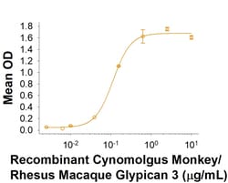 R&D Systems&trade;&nbsp;Recombinant Cynomolgus/Rhesus Glypican 3 His-tag Protein