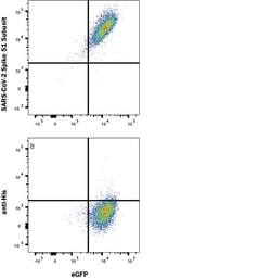 R&D Systems&trade;&nbsp;Recombinant SARS-CoV-2 Spike S1 Subunit His-tag Protein