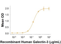 R D Systems Recombinant Mouse LAMP-2/CD107b Fc Chimera Protein 50 &mu;g | Buy Online | R&amp;D Systems&trade; | Fisher Scientific