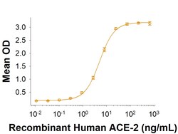 R D Systems Recombinant SARS-CoV-2 Spike S1 Subunit His-tag Protein 100