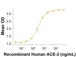 R D Systems Recombinant SARS-CoV Spike RBD Fc Chimera Protein 100 &mu;g | Buy Online | R&amp;D Systems&trade; | Fisher Scientific