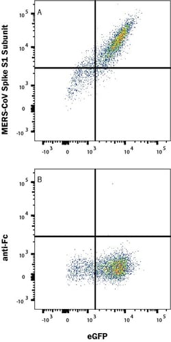 R D Systems Recombinant MERS-CoV Spike S1 Subunit Fc Chimera Protein 100 &mu;g | Buy Online | R&amp;D Systems&trade; | Fisher Scientific