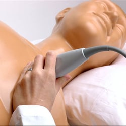 3B Scientific&trade;&nbsp;Blue Phantom Transthoracic Echocardiography and Pericardiocentesis Ultrasound Training Model