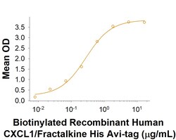 R&D Systems™ Recombinant Human CX3CL1/Fractalkine His Avi-tag Protein