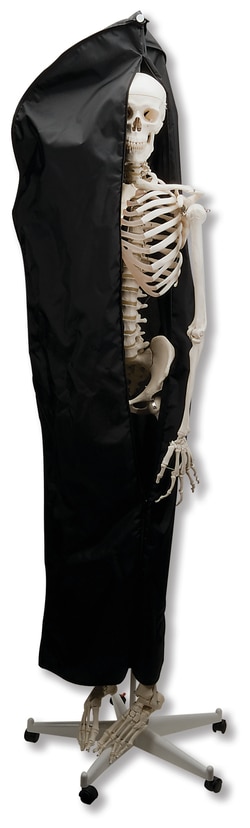 3B Scientific Heavy-Duty Dust Cover for Skeletons Dust cover for skeletons | Buy Online | 3B Scientific&trade; | Fisher Scientific