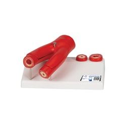 3B Scientific Arteriosclerosis Model with Cross Section of Artery 5.5 x 3.9 x 2.8 in. | Buy Online | 3B Scientific&trade; | Fisher Scientific