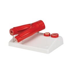 3B Scientific Arteriosclerosis Model with Cross Section of Artery 5.5 x 3.9 x 2.8 in. | Buy Online | 3B Scientific&trade; | Fisher Scientific