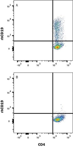 R D Systems Recombinant Human CD19 Protein, Atto 488 Conjugate 20 &mu;g | Buy Online | R&amp;D Systems&trade; | Fisher Scientific