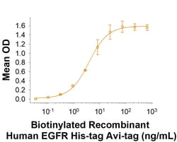 R&D Systems&trade;&nbsp;Recombinant Human EGFR His-tag Avi-tag Protein