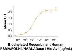R D Systems Recombinant Human PSMA/FOLH1/NAALADase I His Avi Protein 25 &mu;g | Buy Online | R&amp;D Systems&trade; | Fisher Scientific