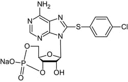 Abcam&nbsp;8-CPT-cAMP, Cell Permeable, >99% Purity, Solid, 100 mg