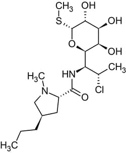 Abcam&nbsp;Clindamycin, Antimicrobial Agent, >99% Purity, Solid, 50 mg