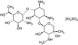 Abcam&nbsp;G 418 Sulfate, Aminoglycoside Antibiotic Agent, Solid, 5 g