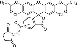 Abcam&nbsp;Carboxy-DCFDA N-succinimidyl Ester, Fluorogenic Esterase Substrate, 250 mg