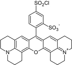 Abcam&nbsp;Sulforhodamine 101 Acid Chloride, Amine Reactive, 5 mg