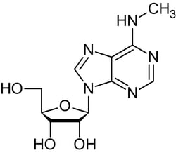 Abcam&nbsp;N6-Methyladenosine, Modified Adenosine Analog, Solid, 100 mg