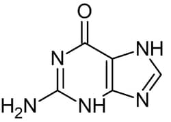 Abcam&nbsp;Guanine Nucleobase, >99% Purity, Powder, 25 g
