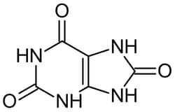 Abcam&nbsp;Uric Acid, Xanthine Oxidase Product, >99% Purity, 10 g