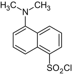 Abcam&nbsp;Dansyl Chloride, Fluorogenic Amine Reactive Reagent, Solid, 1 g