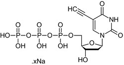 Abcam&nbsp;5-Ethynyl-dUTP, Aqueous Solution, >95% Purity, 25 uL