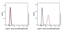 Abcam&nbsp;Rabbit IgG Monoclonal Isotype Control, Alexa Fluor 555, 100 &mu;L