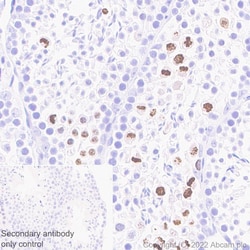 Abcam&nbsp;Histone H3 (phospho S10 + S28) Antibody, Rabbit Multiclonal, Carrier Free, 100 &mu;g