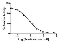 Abcam&nbsp;Alpha-Glucosidase Inhibitor Screening Kit, Colorimetric, Enzyme Activity, 100 Test