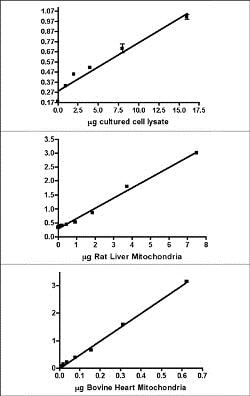 Abcam&nbsp;ATP Synthase, Relative Activity Microplate Assay Kit, 96 Tests