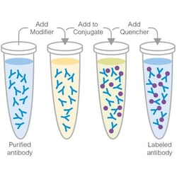 Abcam&nbsp;B-Phycoerythrin Conjugation Kit, Lightning-Link, 3 x 60 &mu;g