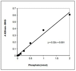 Abcam&nbsp;Calcineurin Phosphatase Activity Assay Kit, Colorimetric, 96 Tests