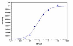 Abcam&nbsp;Calcium Assay Kit, Luminometric, Cell-based, 100x96 Tests