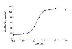 Abcam&nbsp;Calcium Flux Assay Kit, Fura 2, Ratiometric, 100x96 Tests