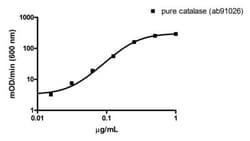 Abcam&nbsp;Catalase Activity Assay Kit, Immunocapture, 96 Tests
