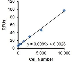 Abcam&nbsp;Cell Invasion Assay Kit, Collagen I, 24-Well, 8 &mu;m, 12 Test