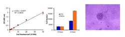 Abcam&nbsp;Cell Transformation Assay Kit, Colorimetric, 100 Tests