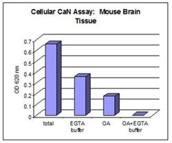 Abcam&nbsp;Cellular Calcineurin Phosphatase Activity Assay Kit, Colorimetric, 1x96 Tests